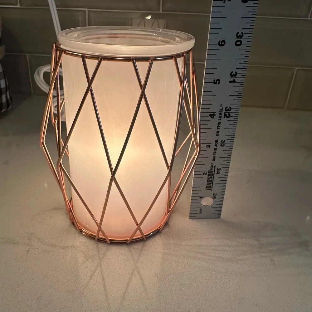 Scentsy Wire‎ You Blushing Plug In Warmer Night Light